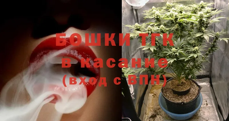 закладка  Змеиногорск  Бошки Шишки Ganja 